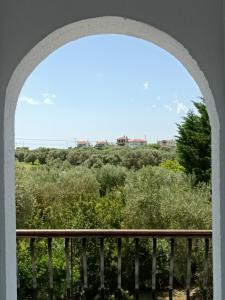 Príroda v okolí apartmánu