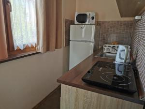 Kuchyň nebo kuchyňský kout v ubytování Tiborc Apartman