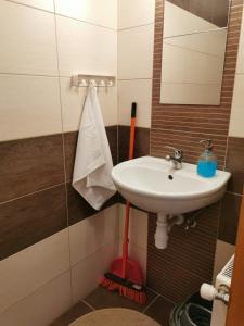 uma casa de banho com um lavatório e um espelho em Tiborc Apartman em Gyula
