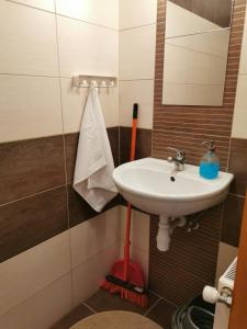 Kúpeľňa v ubytovaní Tiborc Apartman