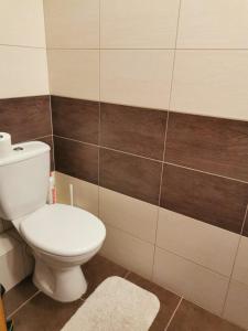 Koupelna v ubytování Tiborc Apartman