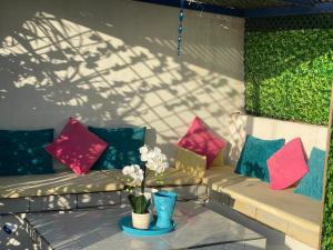 a bench with colorful pillows and a vase with flowers at Auberge Oualidia Dream in Oualidia