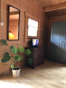 a room with a television and a plant in it at Domek drewniany in Podzamcze