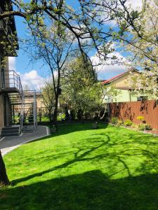 a green yard with a tree and a fence at Johnny House in Suwałki