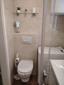 un piccolo bagno con wc e doccia di Apartment Mateo a Spalato (Split) Altre 15 foto