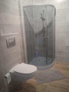 Kúpeľňa v ubytovaní Przytulny apartament w sercu Karkonoszy