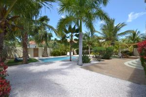 een resort met een zwembad en palmbomen bij Relex Villa with private pool in Willemstad