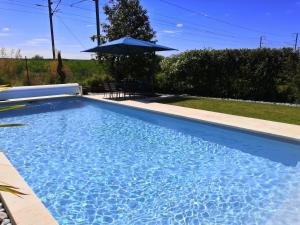 una gran piscina azul con sombrilla en Cottage l'Orée du Cher, en Chissay-en-Touraine