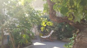 a chair sitting under a tree in a garden at B&B La Halte Montaigne in Bordeaux +44 photos