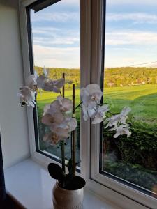 Swan Retreat في تونتون: مزهرية مع الزهور البيضاء تقف على حافة النافذة