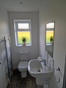 a bathroom with a toilet and a sink and a mirror at Swan Retreat in Taunton