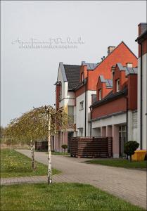 a tree in the grass next to a group of houses at Apartament Kropla Bałtyku 18 lok 10 in Darłówko