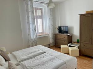 TV a/nebo společenská místnost v ubytování Penzion u Vlčků