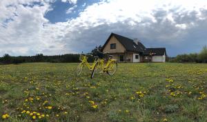 Una bicicleta amarilla estacionada en un campo de flores en Agroturystyka OLZOJA en Posejnele