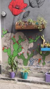 A garden outside San Berillo house