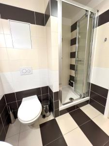 a bathroom with a toilet and a shower at Apartment Prague-2 rooms free parking in Prague