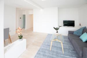 Saint-Antoine的住宿－Mont des Olives - Cap D'ail- app1，带沙发和电视的客厅