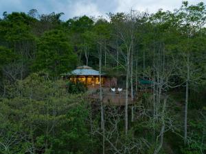 a tree house in the middle of the forest at Chalets HUITACA in Choachí