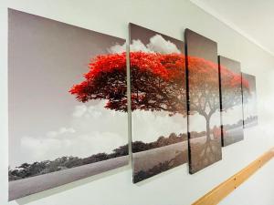 Fotografie z fotogalerie ubytování Tikitere Lodge, Rotorua v destinaci Rotorua