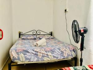 Postel nebo postele na pokoji v ubytování Greenleaf Guesthouse