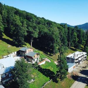 eine Luftansicht eines Hauses auf einem Hügel in der Unterkunft Villa B Barleon-Bakuriani in Bakuriani