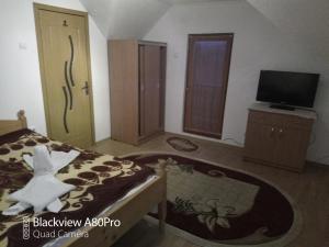 a bedroom with a bed and a tv and a door at Pensiunea Irina 1 si 2 in Zărneşti
