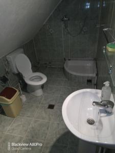 a bathroom with a sink and a toilet and a tub at Pensiunea Irina 1 si 2 in Zărneşti