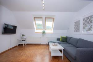 ein Wohnzimmer mit einem Sofa und einem TV in der Unterkunft Duplex Apartment Panj Kranjska Gora in Kranjska Gora