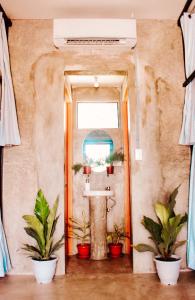 a bathroom with a sink and two potted plants at The Hangover Hostel in Moalboal