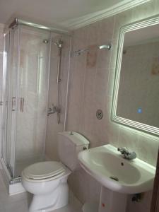 een badkamer met een toilet, een wastafel en een douche bij Occasus Room in Halki