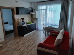 Mamaia Dorin Apartment tesisinde mutfak veya mini mutfak