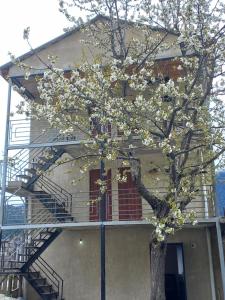 Edificio in cui si trova l'affittacamere