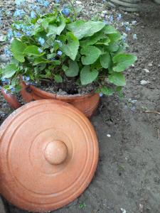 Giardino di Saba