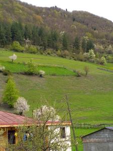 Paesaggio naturale nelle vicinanze dell'affittacamere