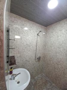 un bagno con doccia, lavandino e doccia di Saba a Mestia