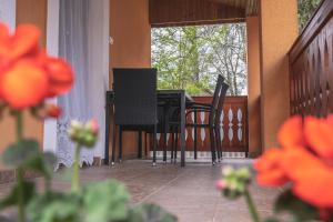 Kép Olajos Apartman szállásáról Berekfürdőn a galériában