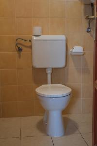 La salle de bains est pourvue de toilettes blanches. dans l'établissement Olajos Apartman, à Berekfürdő