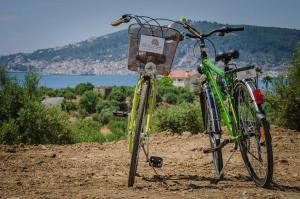 two bikes parked next to each other in the dirt at The Olive Yard in Gythio