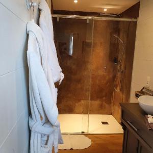 a shower in a bathroom with towels hanging on a wall at B&B Maison Pierreuse in Sart-lez-Spa