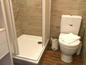 un baño con inodoro y ducha en Bungalow 68 am Waldrand, en Glowe 6 fotos más