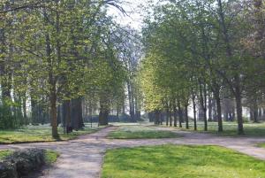 Zahrada ubytování Kurparkcarree - Ferienwohnung "Amber"