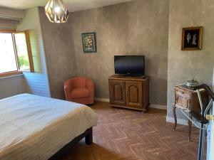 a bedroom with a bed and a tv and a chair at Gite de la dime in Ribeauvillé