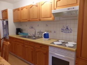 a kitchen with wooden cabinets and a sink and a stove at Ferienwohungen im Feriengarten DG in Nardevitz