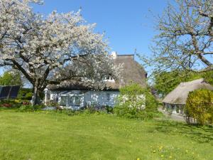 a white house with a thatched roof and flowering trees at Ferienwohungen im Feriengarten DG in Nardevitz