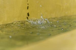 a splash of water in a bowl of water at The Olive Yard in Gythio