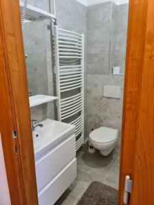 ロジュノフ・ポト・ラドホシュチェムにあるhotel KORUNAのバスルーム(白い洗面台、トイレ付)