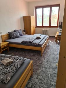 een slaapkamer met 2 bedden en een raam bij hotel KORUNA in Rožnov pod Radhoštěm