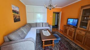 a living room with a couch and a tv at Apartment City Heart in Trebinje