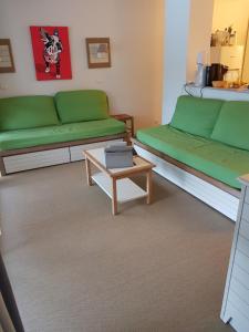 sala de estar con sofás verdes y mesa de centro en Grand T3 - Terrasse les pieds dans l'eau - Climatisation, en Saint-Raphaël