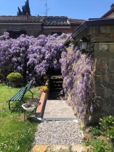 un jardín con flores púrpuras y un banco en La Tinaia del Glicine, en Pratolino